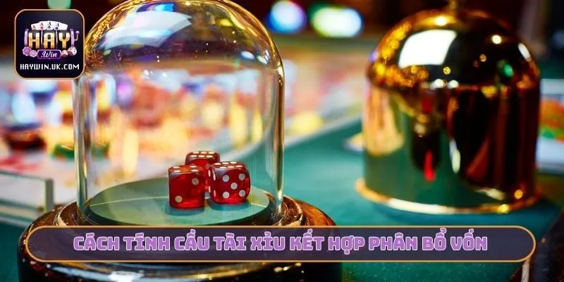 Cách Tính Cầu Tài Xỉu HAYWIN - Bí Kíp Chuẩn Cho Cược Thủ 4 Cách tính cầu tài xỉu kết hợp phân bổ vốn