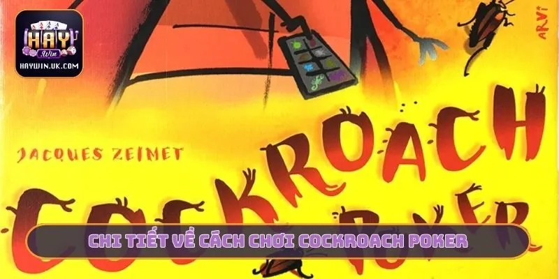 Chi tiết về cách chơi cockroach poker