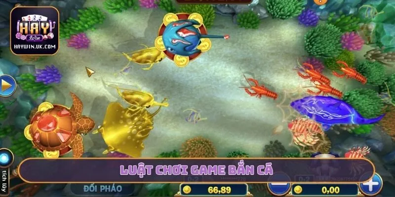 Luật Chơi Game Bắn Cá HAYWIN Dành Cho Người Mới Bắt Đầu 1 Luật chơi game bắn cá