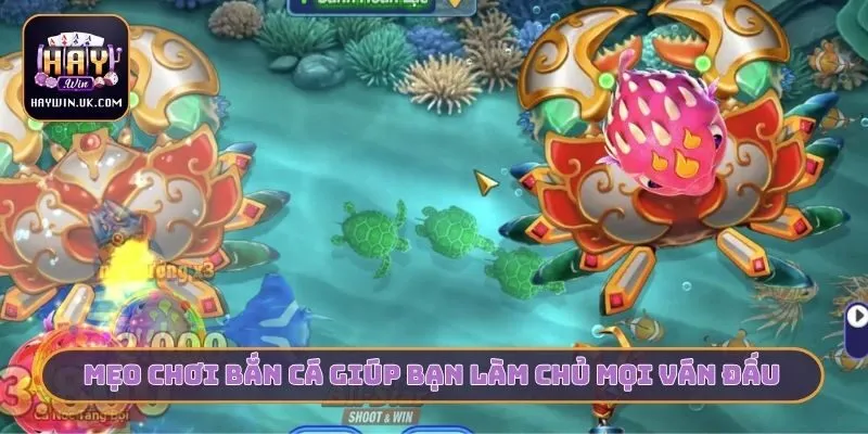Top 10 Game Bắn Cá Hay Nhất - HAYWIN Là Lựa Chọn Số 1 4 Mẹo chơi bắn cá giúp bạn làm chủ mọi ván đấu