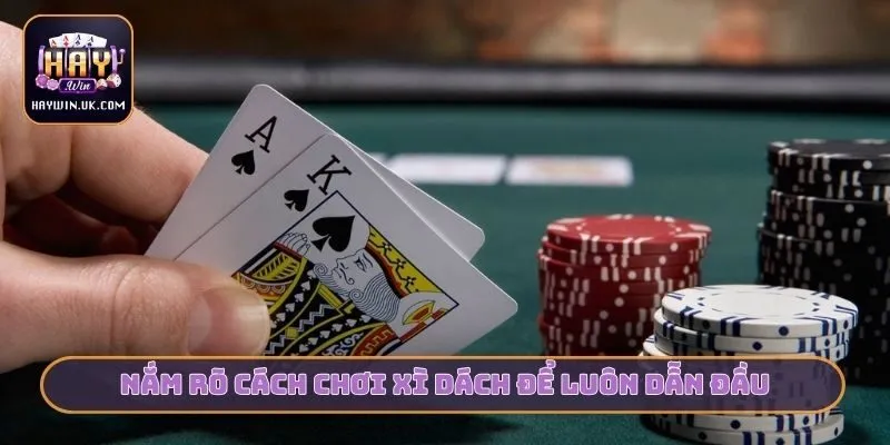 3 Cách Chơi Xì Dách Cùng HAYWIN - Bí Kíp Từ Cao Thủ 2 Nắm rõ cách chơi xì dách để luôn dẫn đầu