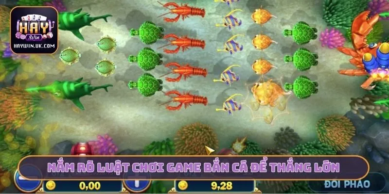 Luật Chơi Game Bắn Cá HAYWIN Dành Cho Người Mới Bắt Đầu 3 Nắm rõ luật chơi game bắn cá để thắng lớn