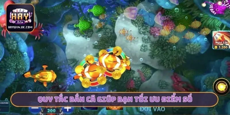 Luật Chơi Game Bắn Cá HAYWIN Dành Cho Người Mới Bắt Đầu 2 Quy tắc bắn cá giúp bạn tối ưu điểm số