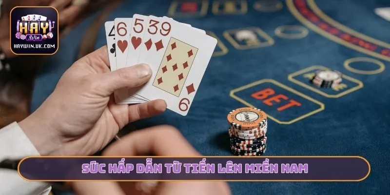 Tiến Lên Miền Nam Và Quy Tắc Vàng Cần Nhớ Cùng HAYWIN 2 Sức hấp dẫn từ tiến lên miền nam