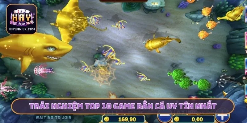 Top 10 Game Bắn Cá Hay Nhất - HAYWIN Là Lựa Chọn Số 1 2 Trải nghiệm top 10 game bắn cá uy tín nhất